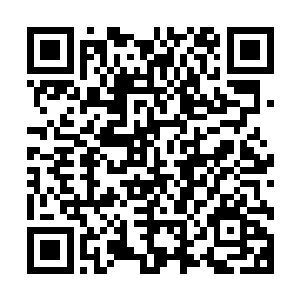 严默闭着眼睛感觉到缠绕住自己身体的枝条在半空停顿了一下二维码生成