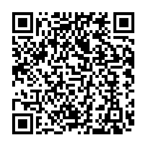 严默非常清楚地看到小穿沙甲人对它露出了极为亲昵和得到救赎一般的神情二维码生成