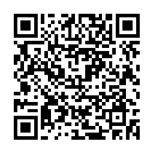 严默顺着后女的目光抬头看向不大但恨茂密的山脉二维码生成