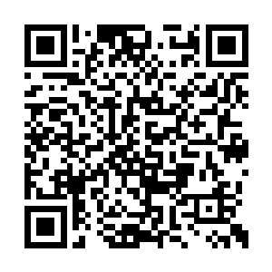 个个气势汹汹地朝金辰界府上空的那片海域赶去二维码生成