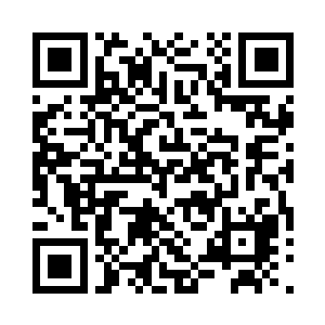 个个脸上的血色唰地一下子退得一干二净二维码生成