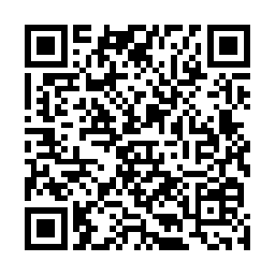 个个都在冷眼看着……虽然说第二次的草药是云波在出手二维码生成