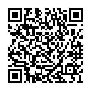 个人的喜好和憎恶可以决定个人乃至族群的生死二维码生成