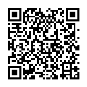 个出绝招的……但是结果始终都是以打和而告终的二维码生成