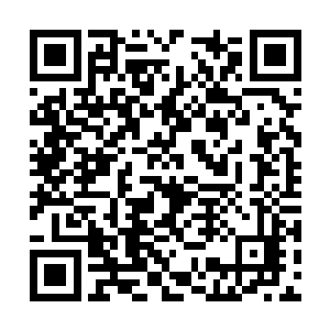 个头比其他小了一大圈的神乌蛋忽然发出咔的一声二维码生成