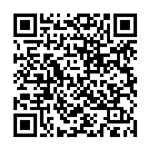 中午张生和王桦副主任在食堂吃了四菜一汤的工作餐后二维码生成