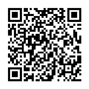 中午最多吃点点心一定的宽度并且铺了整齐石子的路二维码生成