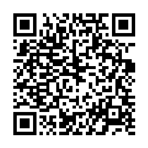 中午还是从公司回来的周晓莉提醒聂亦筠给她端的饭菜过去二维码生成