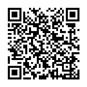 中华人民共和国人民解放军总参部二部蓝鹰特别行动队二维码生成