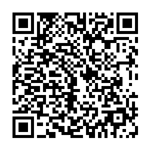 中国媒体的各种新闻特写也都被热心的外国球迷们翻译了之后传到了网络上二维码生成