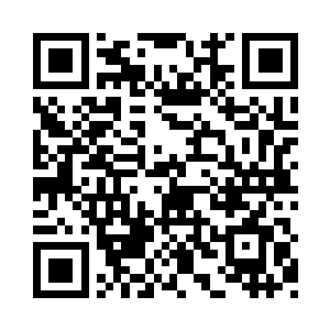 中国派往欧洲的军事观察团也终于抵达法国二维码生成