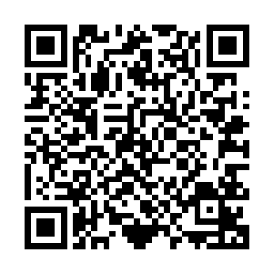 中央对浙省民企和民营经济的看重让我们省委省政府也很振奋啊二维码生成