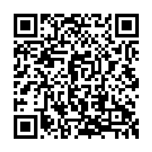 中央山脉是为人族境地里最旷阔的一座绵延山脉二维码生成