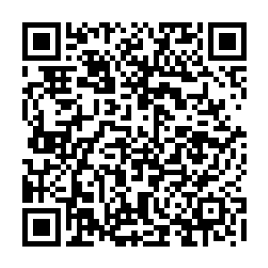 中央才下了大决心要对东三省存在体制性结构性思想性观念性的痼疾动大手术二维码生成