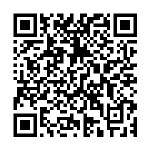 中年人和那个跟他一块来的长着马脸的人都被蓝正河留了下来二维码生成