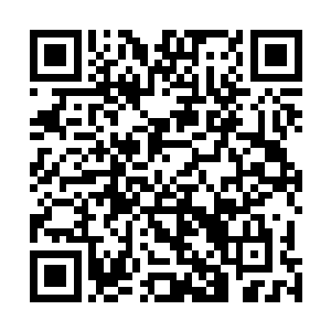 中年大叔愣是从着一个储藏柜中掏出了一大堆的进口零食二维码生成