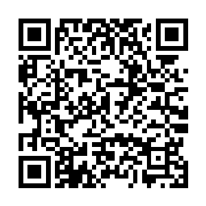 中年教官所说的各国天才齐聚的噱头让华宇心情无比激动二维码生成