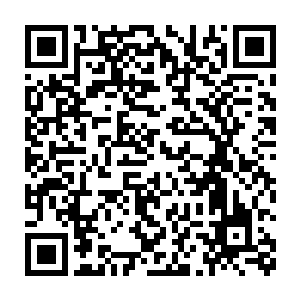 中年男子知道凭他一人的力量很难在这偌大的森林中把叶尊找出来二维码生成