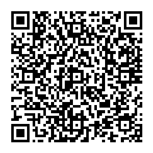 中年男子离地三米悬浮在半空中他目光一瞬不瞬的盯着剑尘头顶的紫青剑灵眼中透漏出些许惊讶之色二维码生成