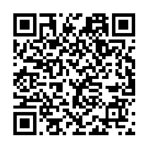 中年美妇拿出了一个赤红色的玉瓶递给了倪备举开口道二维码生成