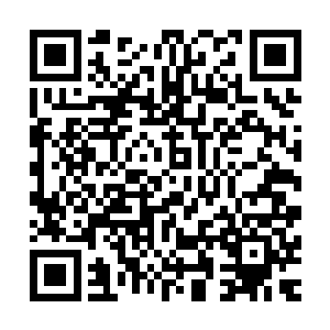 中心区域的大帝显然也不知道自己的家门口就有这么大的秘密二维码生成