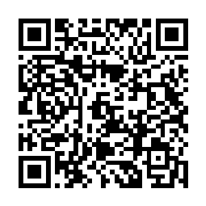 中成境界的土之剑意根本就抵挡不了如此多的魂兽攻击二维码生成