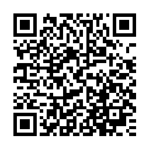 中海到处都是搜索杨辰踪迹的袁家子弟跟部分江南军区的侦察兵二维码生成