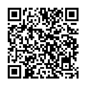 中的赫克托尔与今日的白神教马龙还真有那么一溜溜相似二维码生成