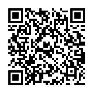 中等一下资质想要取得一个像样的修为那就太难了二维码生成