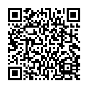 中级位面与下级位面最显著的差异在于该位面所拥有的灵气浓度二维码生成
