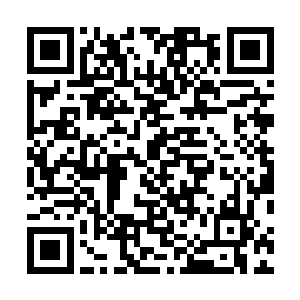 中级混沌神品血脉所能够起到的战力增幅实在是太微弱了二维码生成