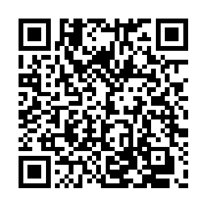 中间有好几次叶秋都问问谷道长为什么不出宁县二维码生成