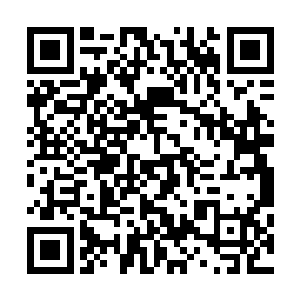 中间的那个孩子在那一瞬间是真的感受到月华身上的杀气的二维码生成