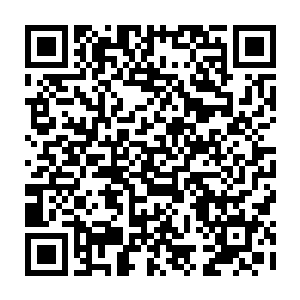 中队这后山的藏阴地据王婉柔可能就是田家寨之外另一个大一点的基地了二维码生成