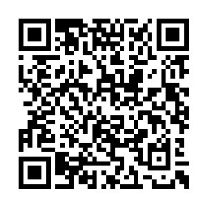 丰泰粮铺前等待的人们像是问这腥味的鲨鱼一样二维码生成