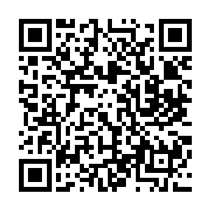 丰腴却不失曲线的身段儿……一袭曼妙的可餐秀色映入眼帘二维码生成