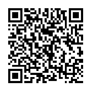 临时成立的黑暗联合议会正在紧锣密鼓地研究如何对抗幽鬼二维码生成