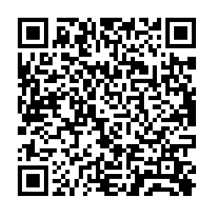 临时督查委员会中的老师们一个个都选择了和这个危险的女人保持一定的距离二维码生成