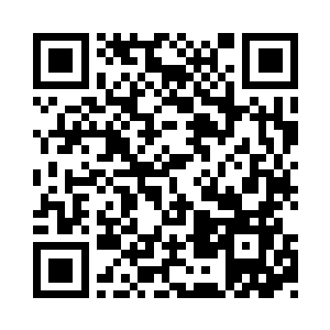 临时调整的双螺旋稳定结构还是太勉强了一些二维码生成