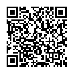 临死前还被他张嘴生生地在脖子上咬去了一块肉二维码生成