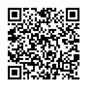 临赶回夹河市的时候给王小雅买了一身时尚衣服二维码生成