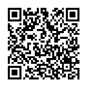 丹云级数的增功灵药固然是叶笑进步神速的主因之一二维码生成