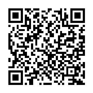 丹佛野马上一次进入超级碗被旧金山49人55比10屠杀二维码生成