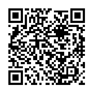 丹妮拉也通过梅迪尔丽向马文表达了一下她的意思二维码生成