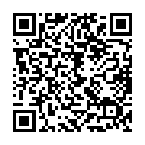 丹妮拉和图拉扬都是克里兰德家族中最闪耀的两颗星二维码生成