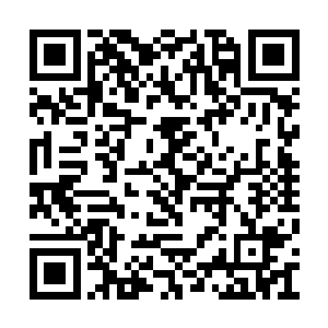 丹寇真担心她为了端王妃的事情不顾自己的肚子二维码生成