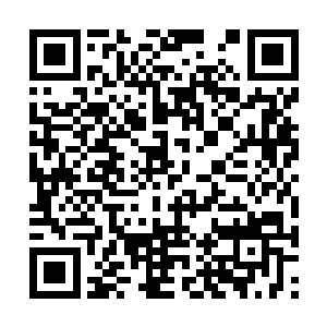 丹尘子见到花媚儿的样子之后顿时有些焦急的说道二维码生成