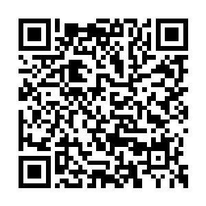丹尼尔来参加这一次试镜也是他牵线搭桥的结果二维码生成