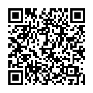 丹玄宗乃是四方城周围方圆上千万里范围内的三大宗门之一二维码生成