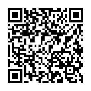 丹田世界三分之二的青霜意志与最初自己收纳进入体内的意志二维码生成